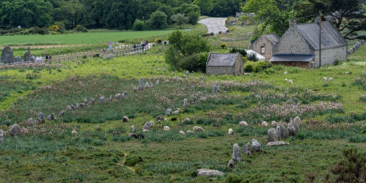 Carnac : alignements de Kermario