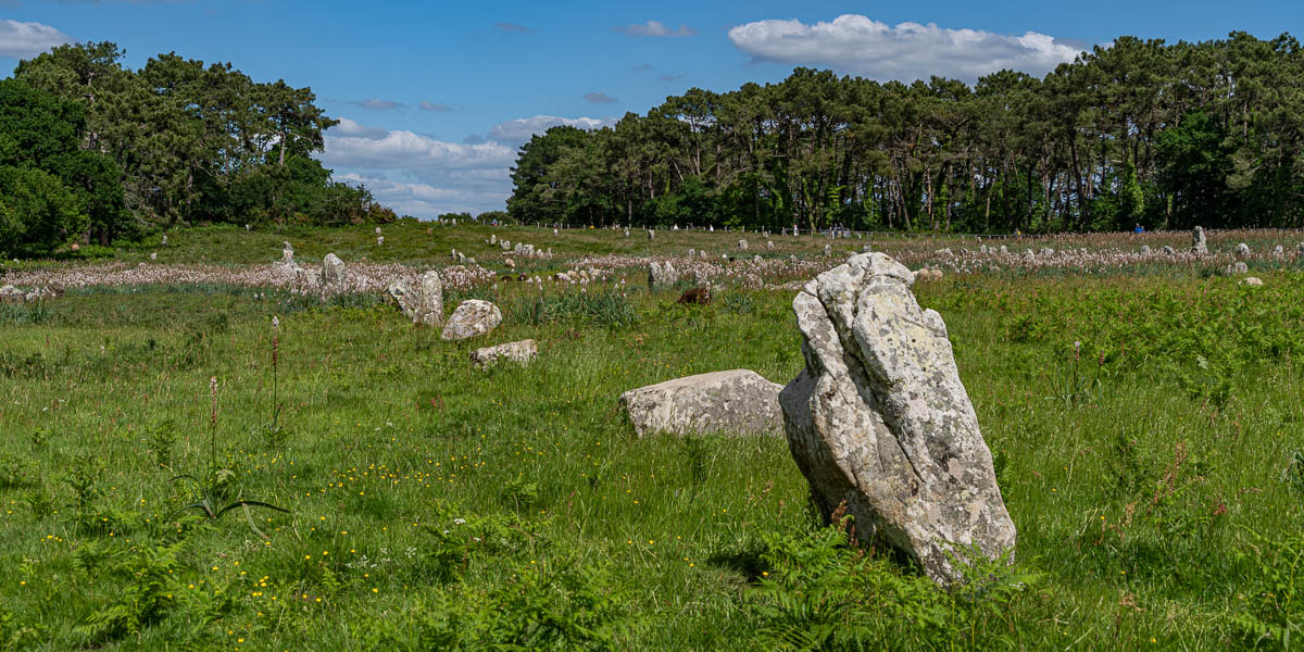 Carnac : alignements de Kermario