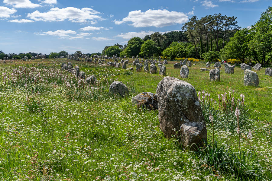 Carnac : alignements de Kermario