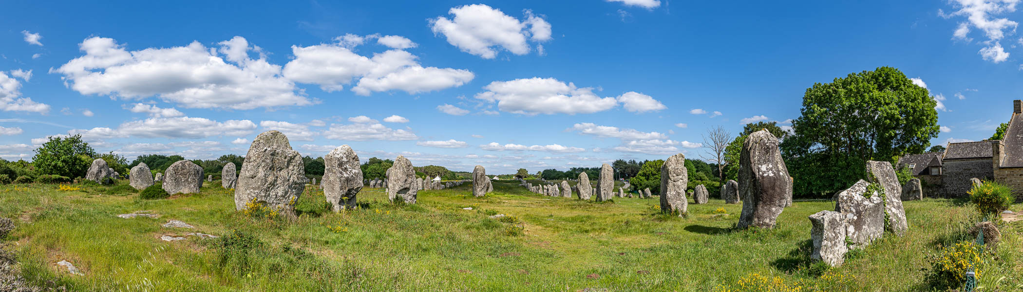 Carnac : alignements du Ménec