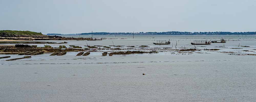 Plouharnel, Kerhellec : parc à huîtres, Quiberon au loin