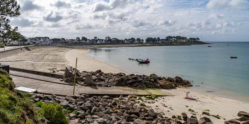 Carnac : plage et pointe St-Colomban, troupeau de longe-côtes