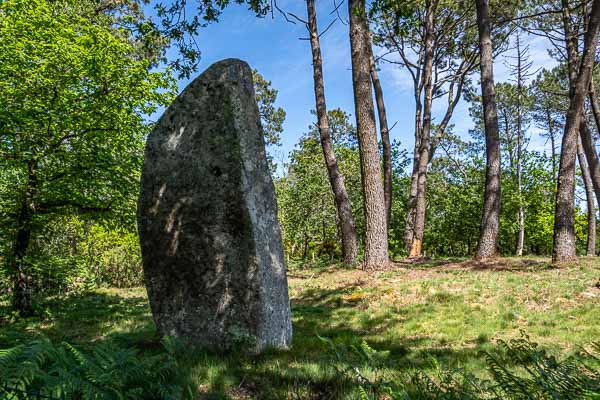 Carnac : alignements de Kerleskant