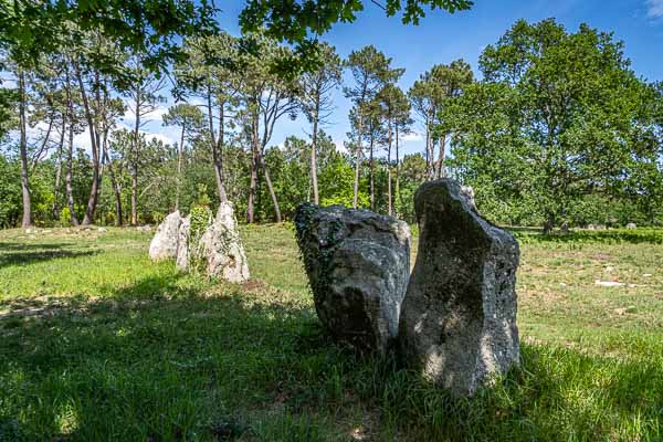 Carnac : alignements de Kerleskant