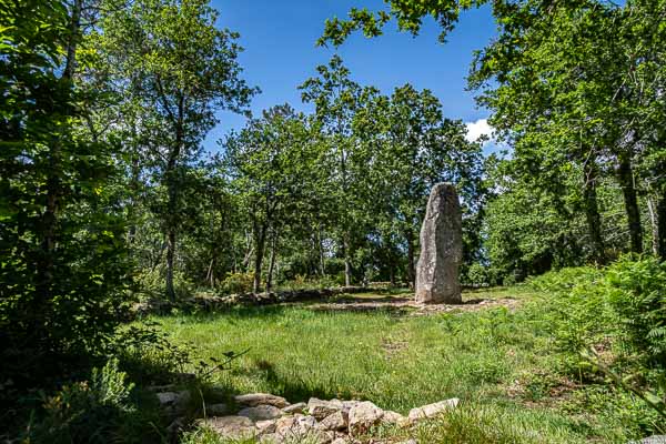 Carnac : géant du Manio, 6,5 m