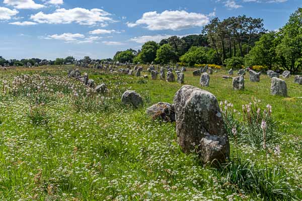 Carnac : alignements de Kermario