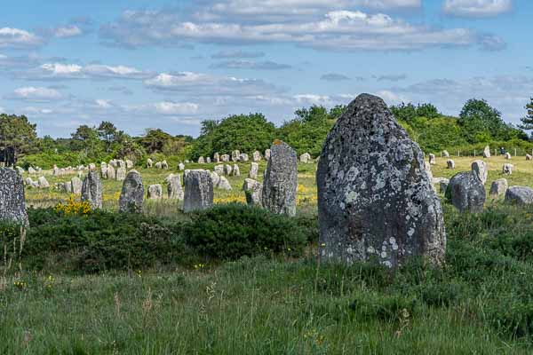 Carnac : alignements du Ménec