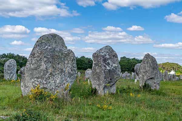 Carnac : alignements du Ménec