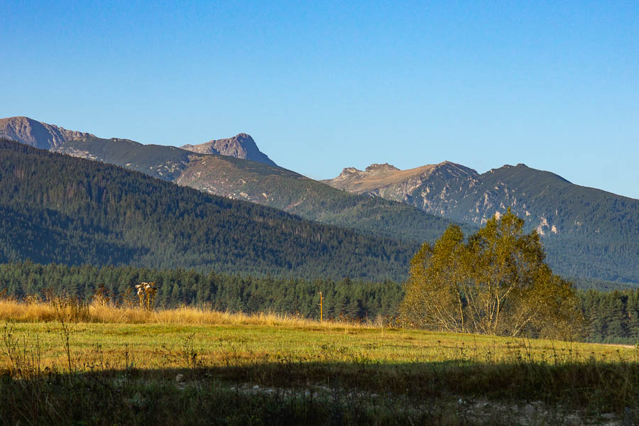 Massif de Rila : mont Maliovitsa, 2729 m, depuis Govedartsi