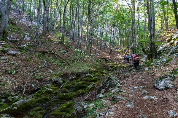 Massif de Vratsa : torrent en sous-bois