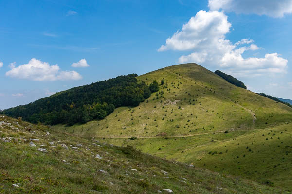 Massif de Vratsa : Buk, 1393 m