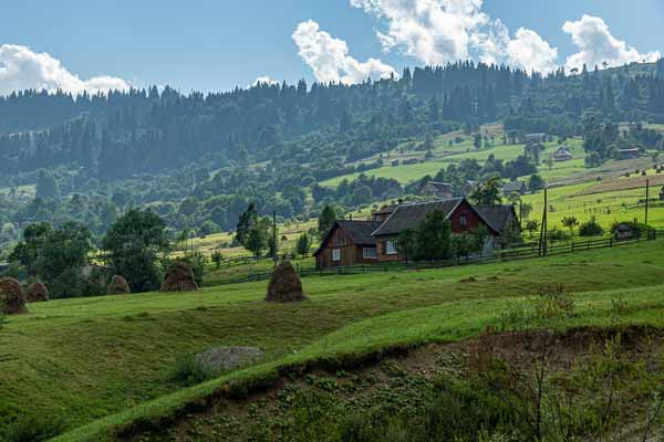 Yasinia : ferme