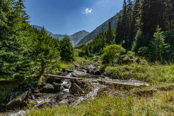 Vallée au nord du mont Moldoveanu