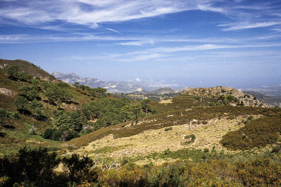 Vue vers Calvi