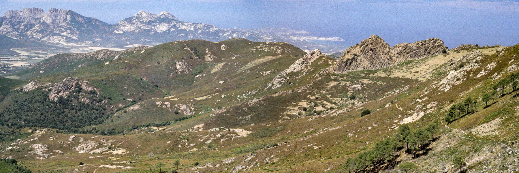 Vue vers Calvi