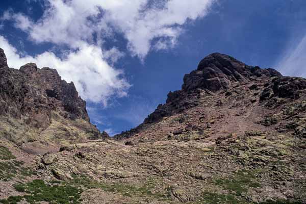 Paglia Orba