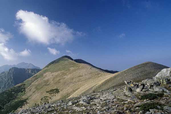 Punta di Pinzi Corbini