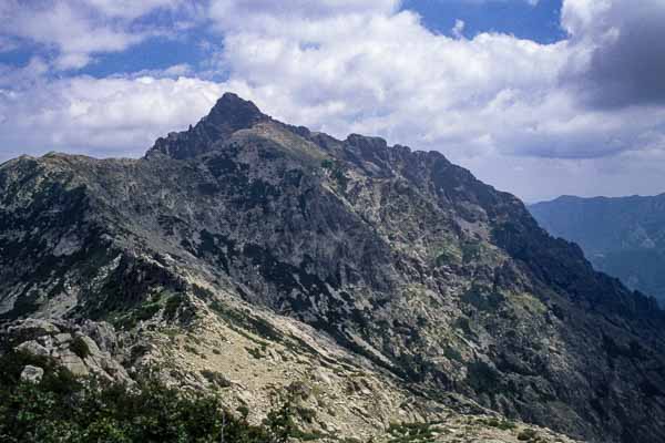 Monte d'Oro