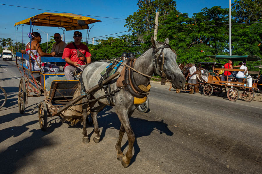 Camagüey : véhicule hippomobile