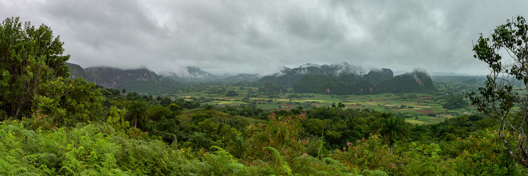 Viñales : mogote