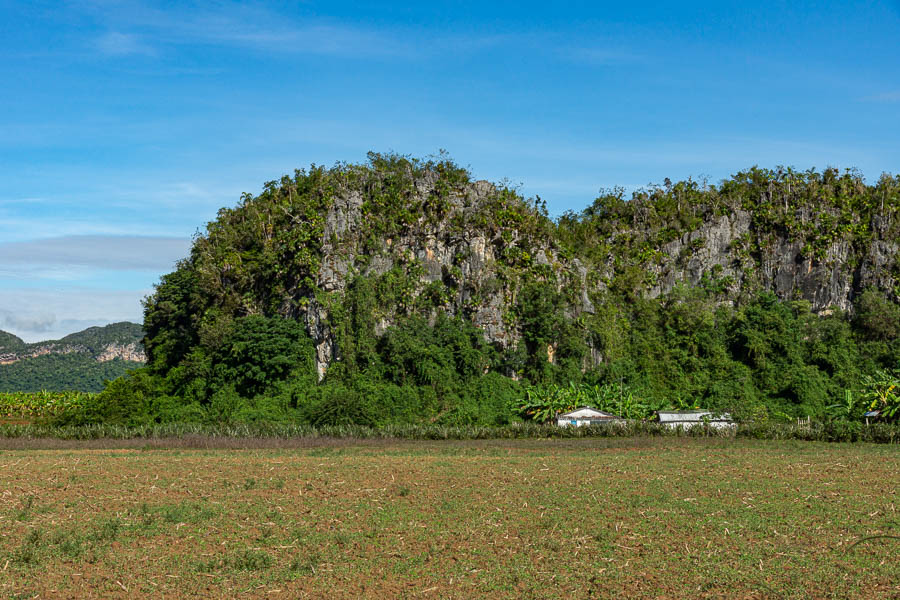 Viñales : mogote