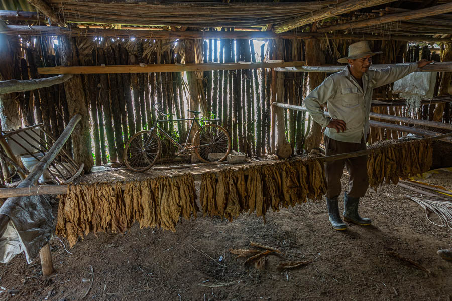 Viñales : séchoir à tabac