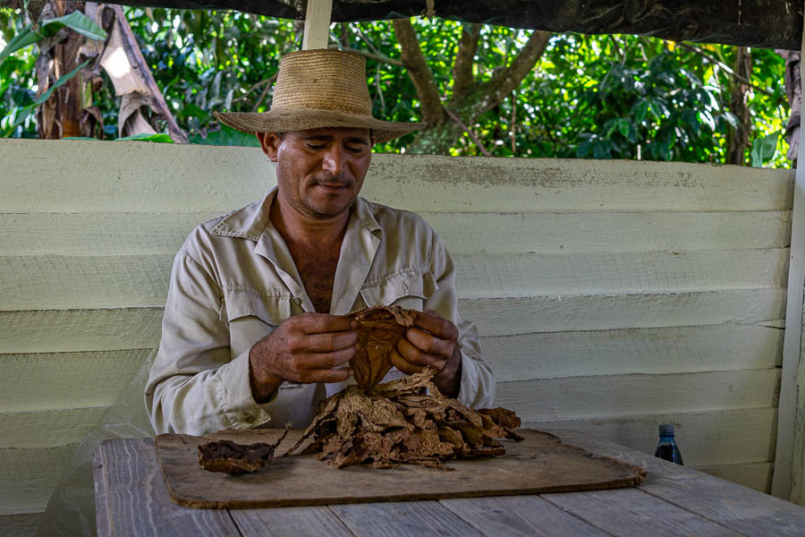 Viñales : fabrication d'un cigare