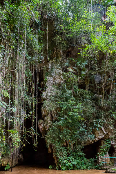 Viñales : cueva del Indio