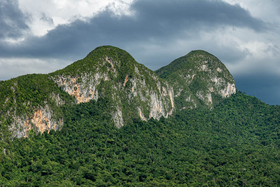 Mil Cumbres : pain de Guajaibón