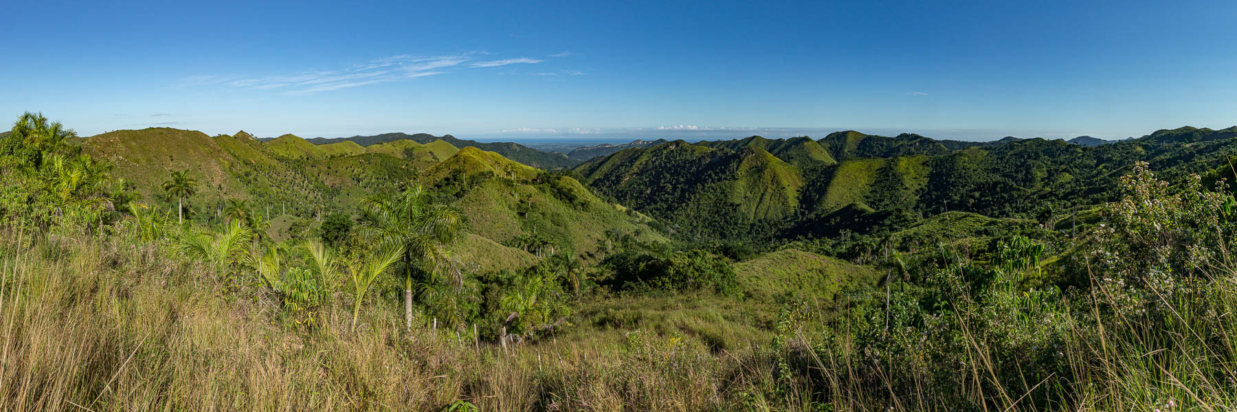 Artemisa : panorama