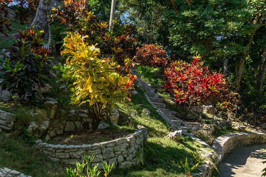 Soroa : jardin aux orchidées