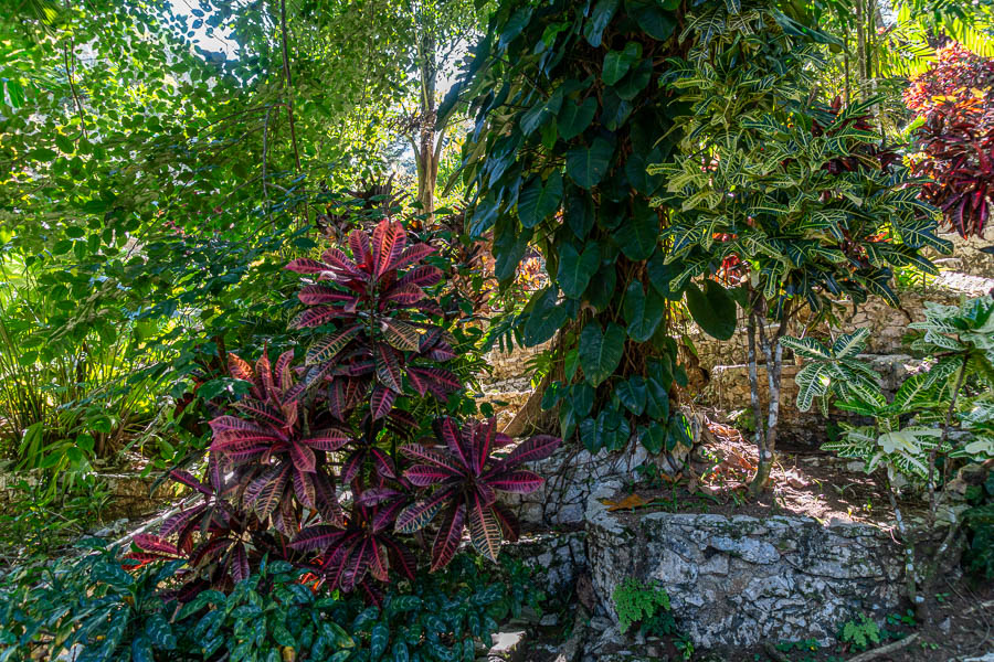 Soroa : jardin aux orchidées