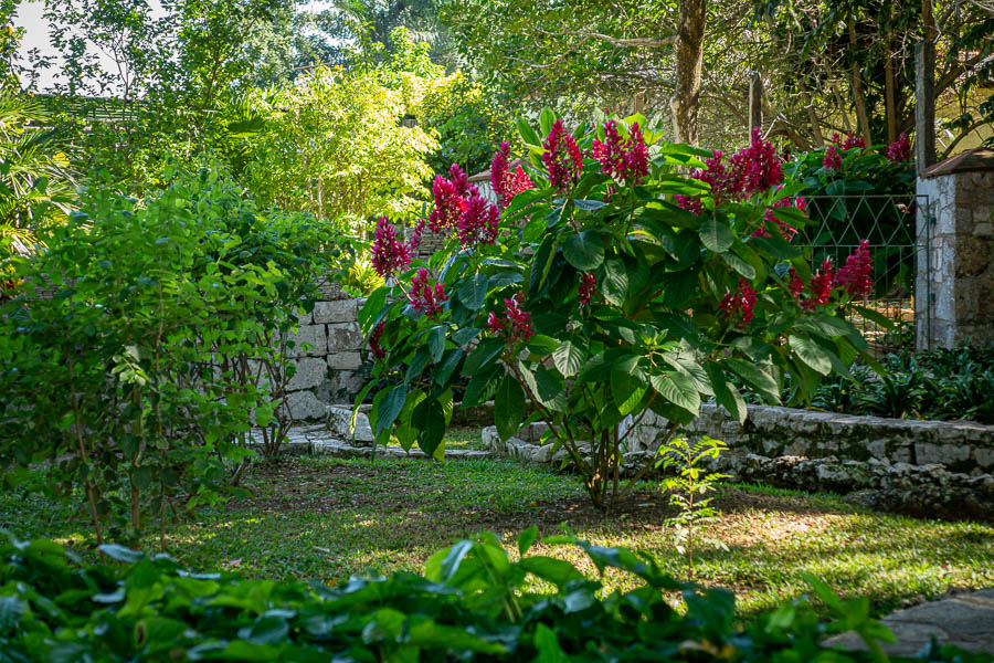 Soroa : jardin aux orchidées