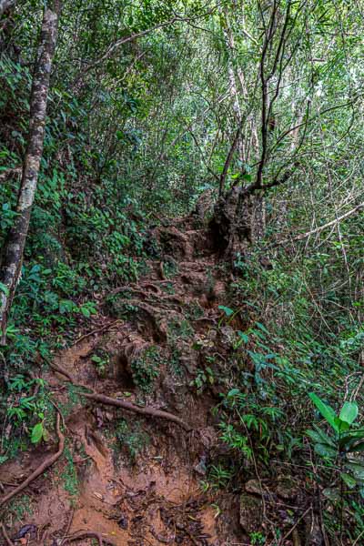 Baracoa : sentier raide et boueux vers le Yunque