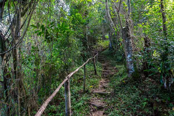 Sentier aménagé