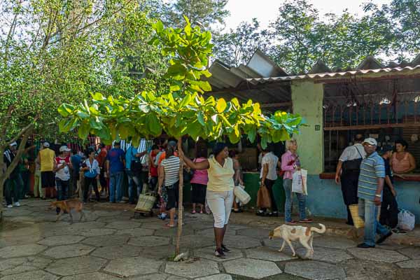 Camagüey : marché, parasol