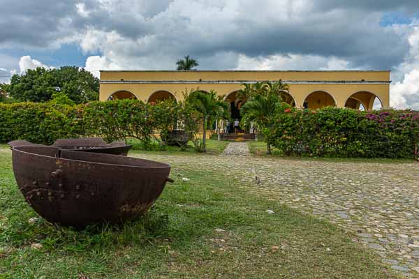 Vallée de Los Ingenios : plantation de canne à sucre