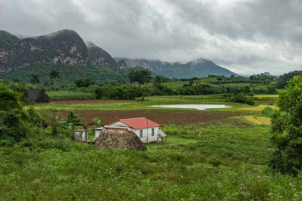 Viñales : ferme