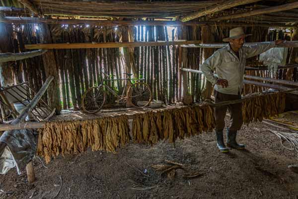 Viñales : séchoir à tabac