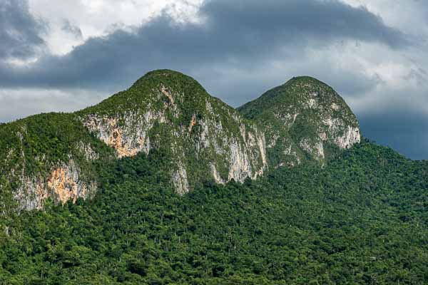 Mil Cumbres : pain de Guajaibón