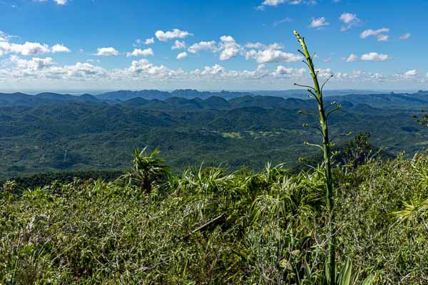 Pain de Guajaibón : mogotes de Viñales