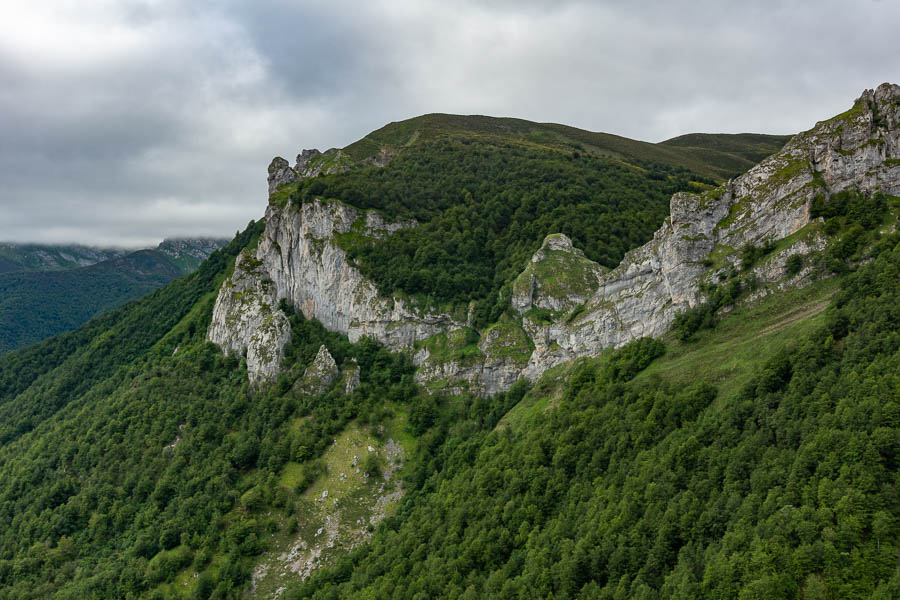 Falaise