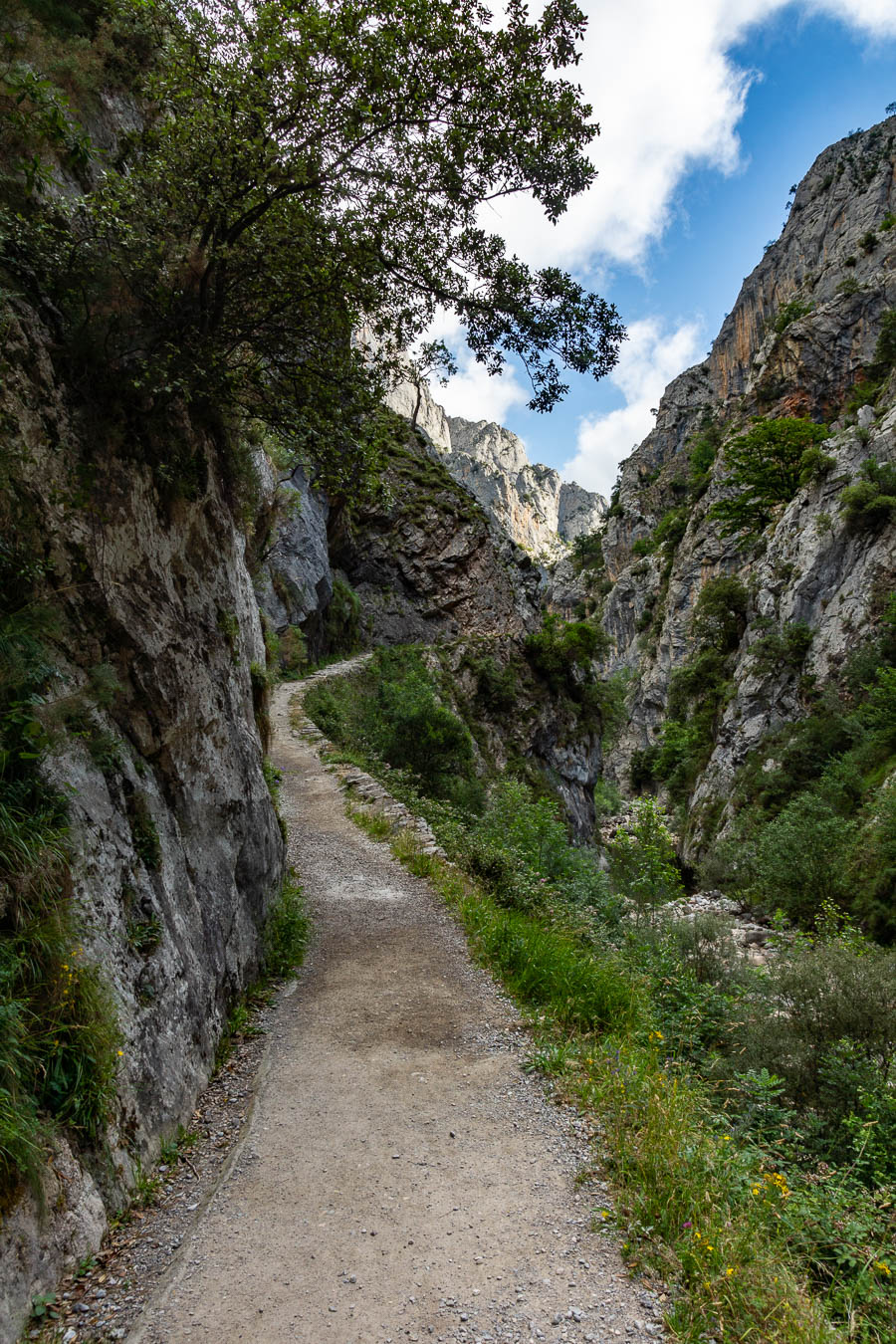 Gorges du rio Cares