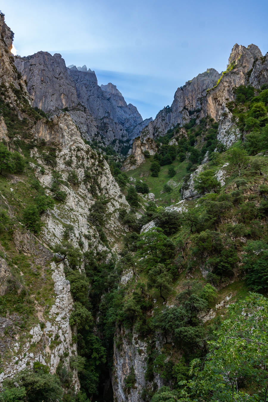 Gorges du rio Cares