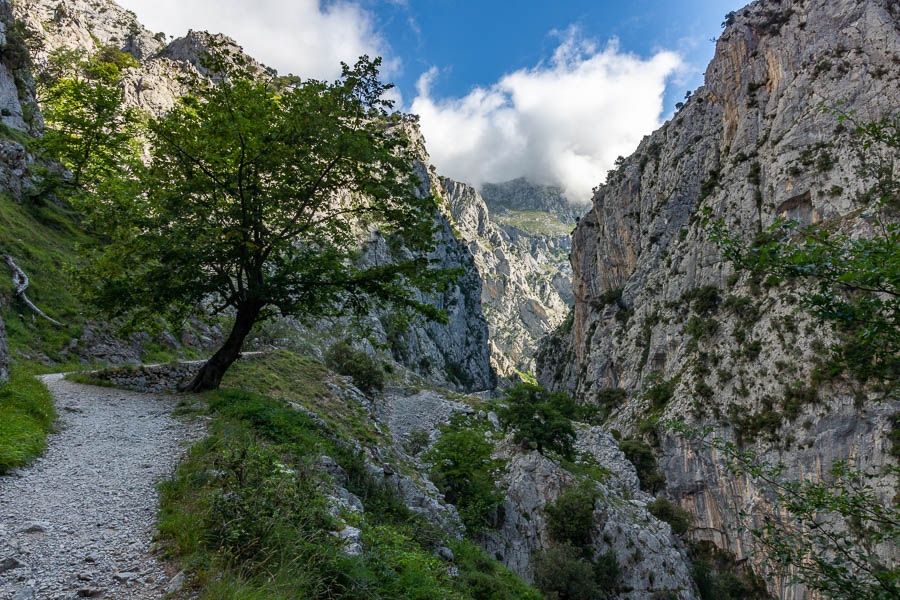 Gorges du rio Cares