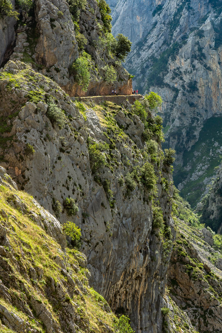 Gorges du rio Cares