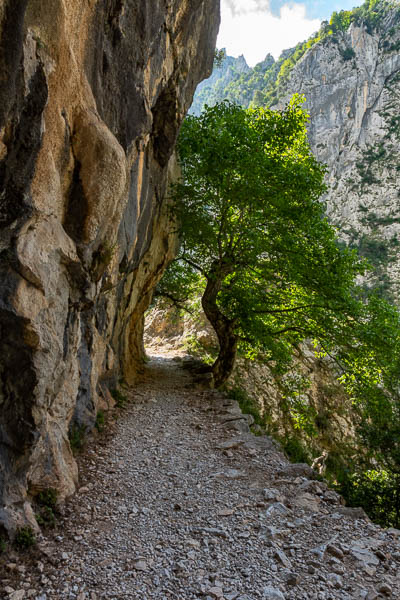 Gorges du rio Cares