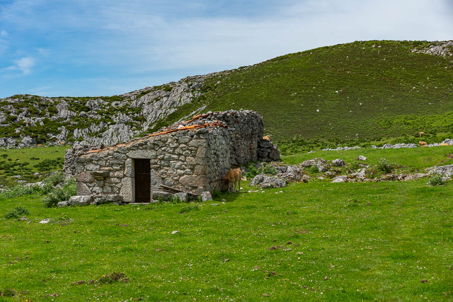 Bergeries d'Arnaedu