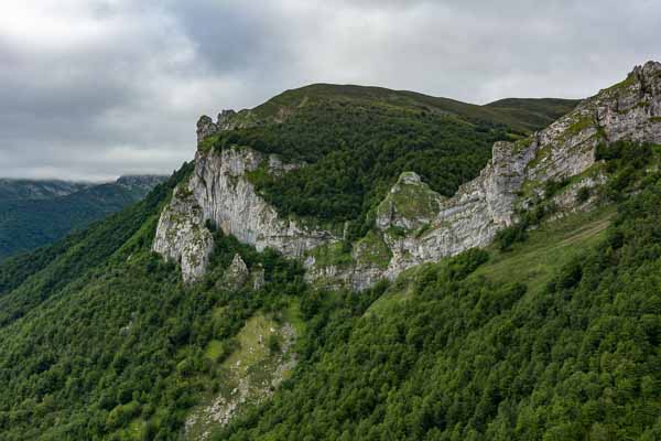 Falaise