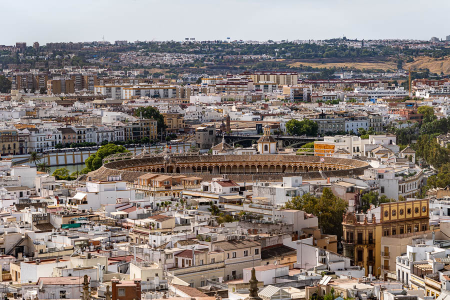 Séville, cathédrale : Giralda, vue ouest, arènes